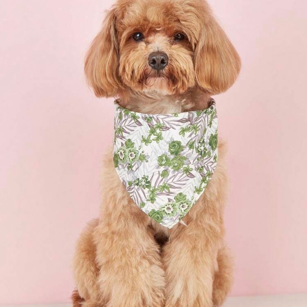 Round Mint Fashion Pet Sunglasses and Bandana Set - Picture 6 of 12